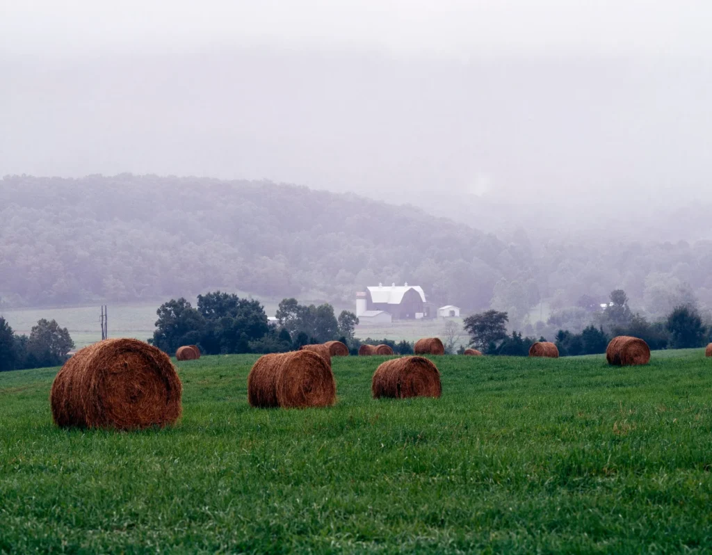 Paisaje con neblina y pacas de heno en el Valle de Shenandoah, zona rural del oeste donde también llega la placa temporal en Virginia