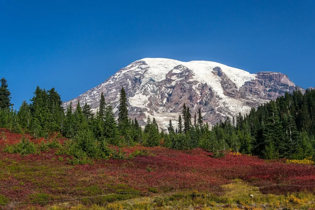Monte Rainier nevado sobre un prado otoñal, paisaje de las Cascadas que se cruza con permiso temporal para circular en Washington